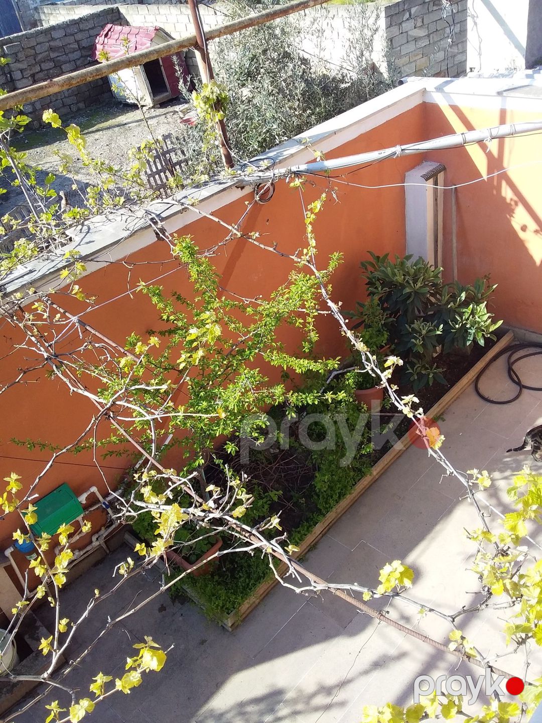 Satılır 7 otaqlı həyət evi/bağ evi 170 m² — Ev, villa, Bakı (3)