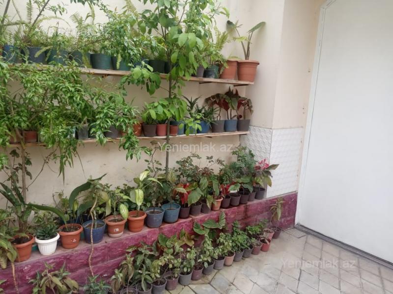 Satılır 6 otaqlı Həyət evi / Villa, 420 m², Yasamal rayonu — Ev, villa, Bakı (7)