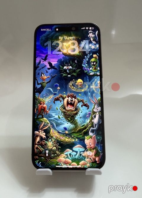 IPhone 15 Pro Max, 256 GB, Gümüşü, Face ID — Bakı