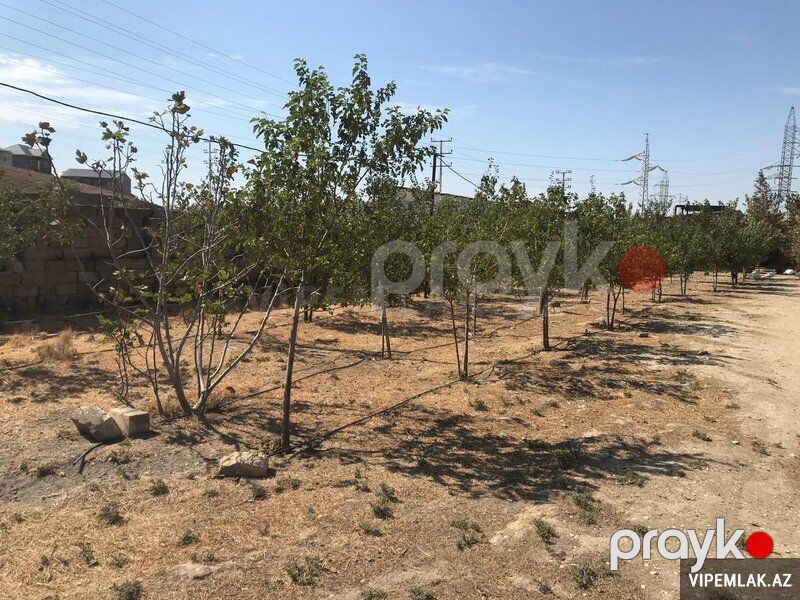 Abşeron rayonunda Torpaq Satılır, 15000 sot — Torpaq, Bakı (7)