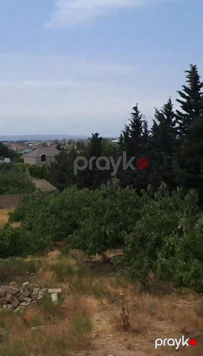 Satılır torpaq 10 sot — Torpaq, Bakı (3)