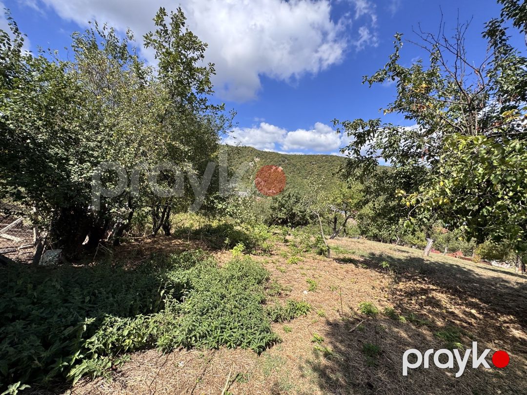 Satılır torpaq 27 sot — Torpaq, İsmayıllı (7)