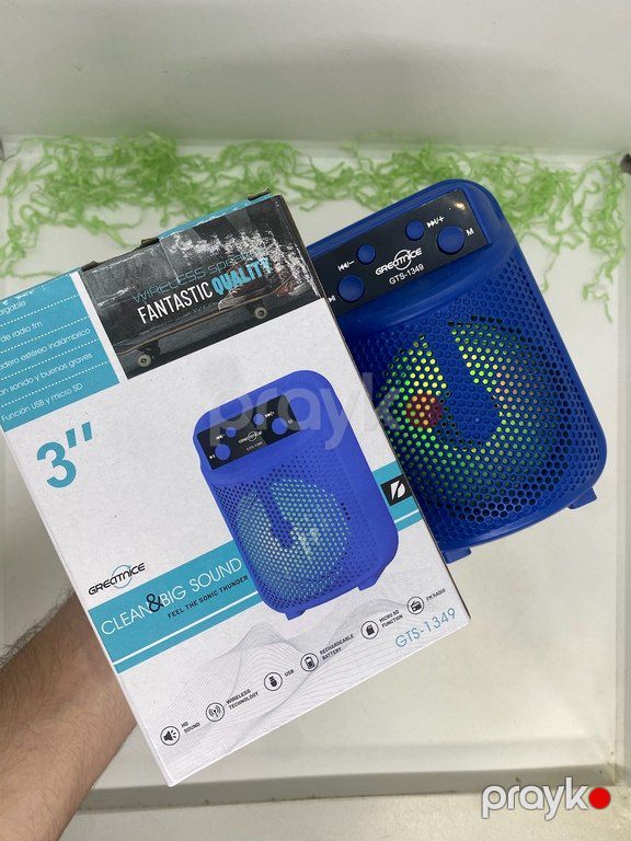 Greatnice GTS-1349 Mini dinamik — Səs texnikası, Bakı (3)
