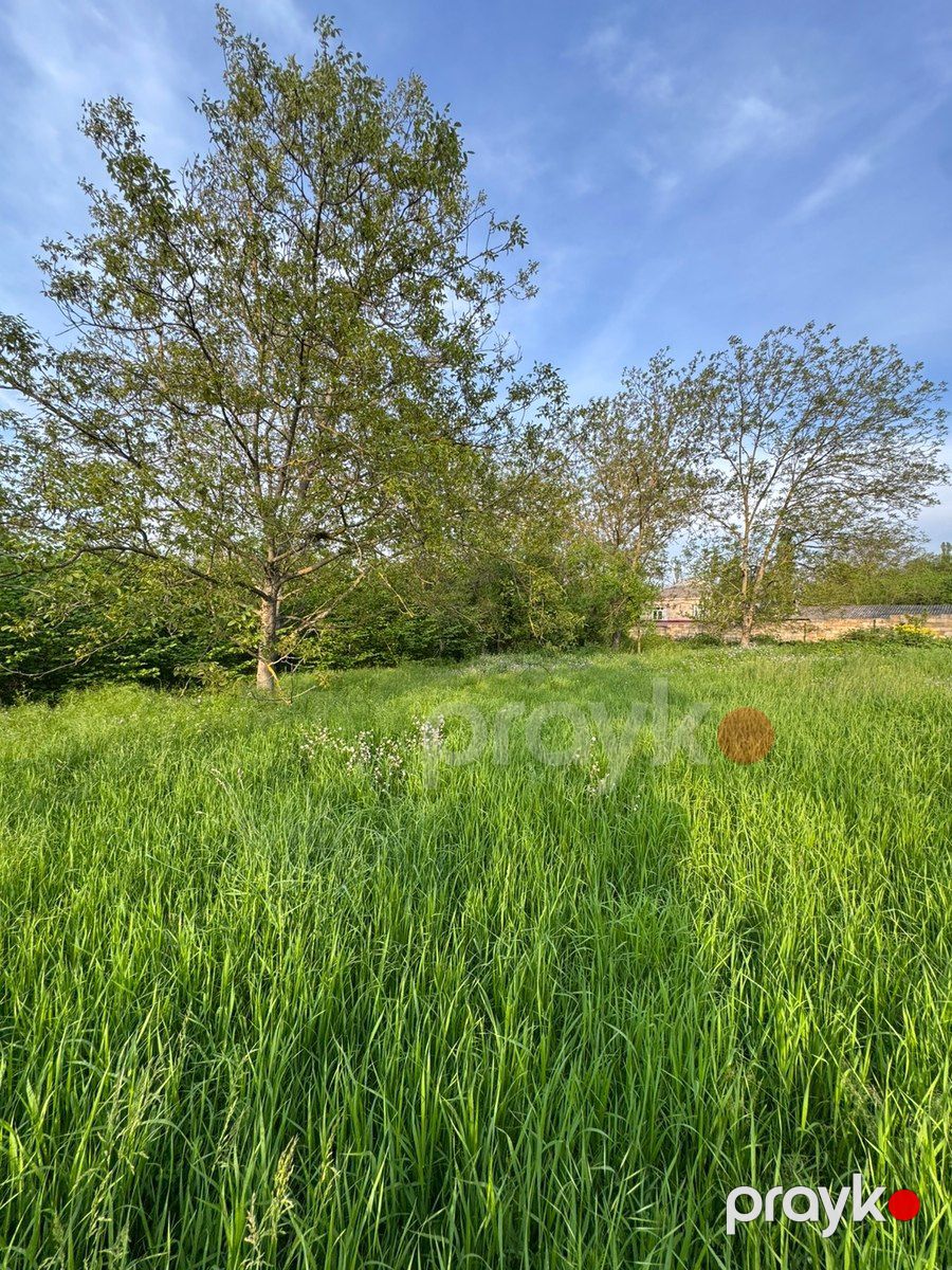 20 sot torpaq sahəsi, Qusar r — Torpaq, Qusar (8)