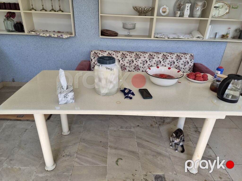 Qonaq masası, İşlənmiş, Açılmayan, Dördbucaq masa — Masalar, Masazır (4)