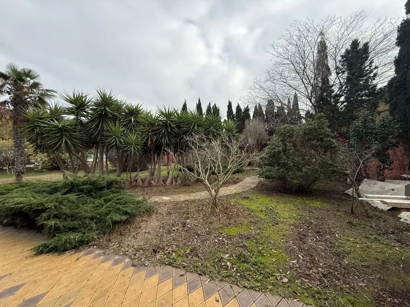 Şüvəlan, Torpaq satılır - 8 sot — Torpaq, Bakı (4)