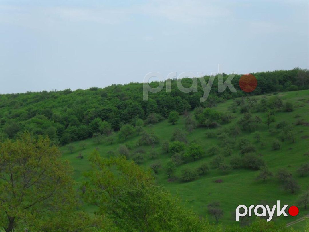 Satılır 2 otaqlı həyət evi/bağ evi 120 m² — Ev, villa, Qusar (8)