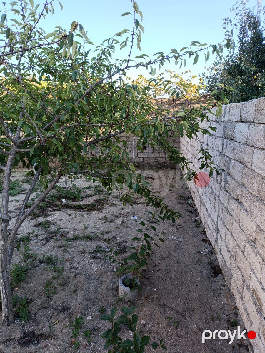 2.66 sot torpaq sahəsi, Maştağa qəs — Torpaq, Bakı (2)