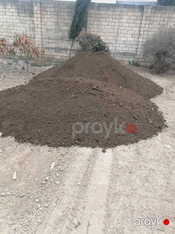 Qara torpaq, yanmış peyin — Dacha və bağ, Bakı (4)