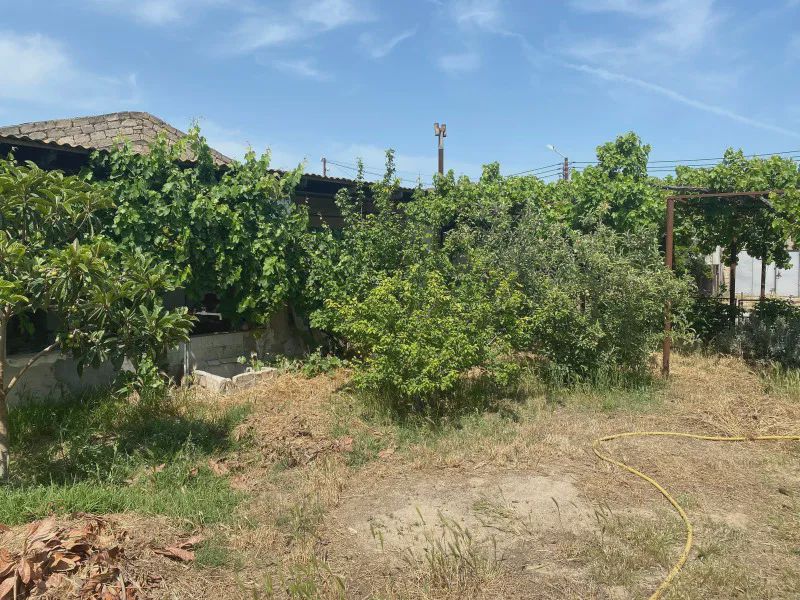 Sotiladi: участок, 13 sotix — Torpaq, Bakı (8)