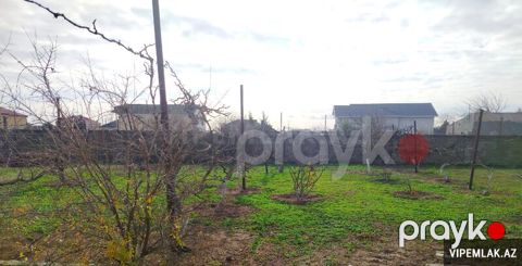 Xəzər rayonunda Torpaq Satılır, 7 sot — Bakı