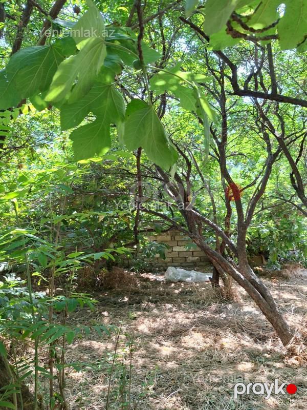 Satılır Torpaq sahəsi, 8 sot, Corat köhnə — Torpaq, Sumqayıt (6)