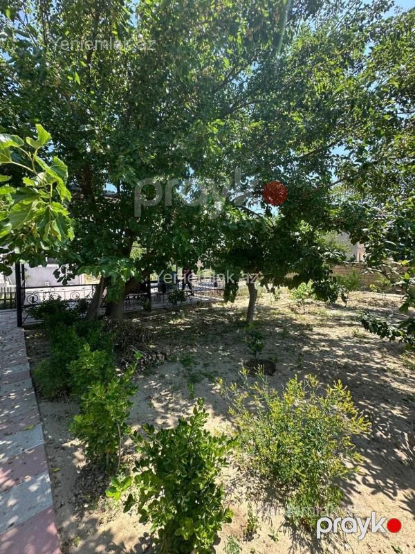 Satılır 3 otaqlı Həyət evi / Villa, 110 m², Qurd dərəsi — Ev, villa, Sumqayıt (4)