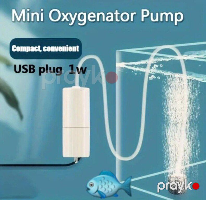 Kompressor mini — Akvariumlar və balıqlar, Bakı (4)
