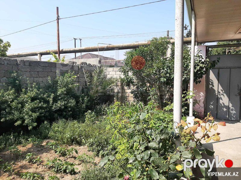 Suraxanı rayonunda 1 otaqlı Torpaq Satılır, 4 sot — Torpaq, Bakı (5)