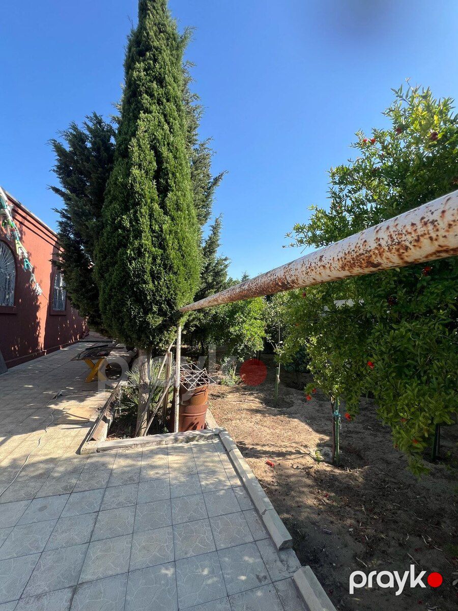 Bağ evi, Bilgəh qəs — Ev, villa, Bakı (4)