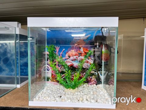 Akvarium — Bakı