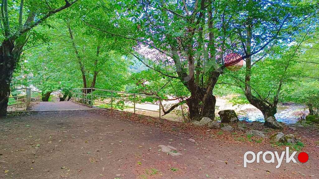 Həyət evi kirayə verilir, Lerik r — Ev, villa, Lerik (12)
