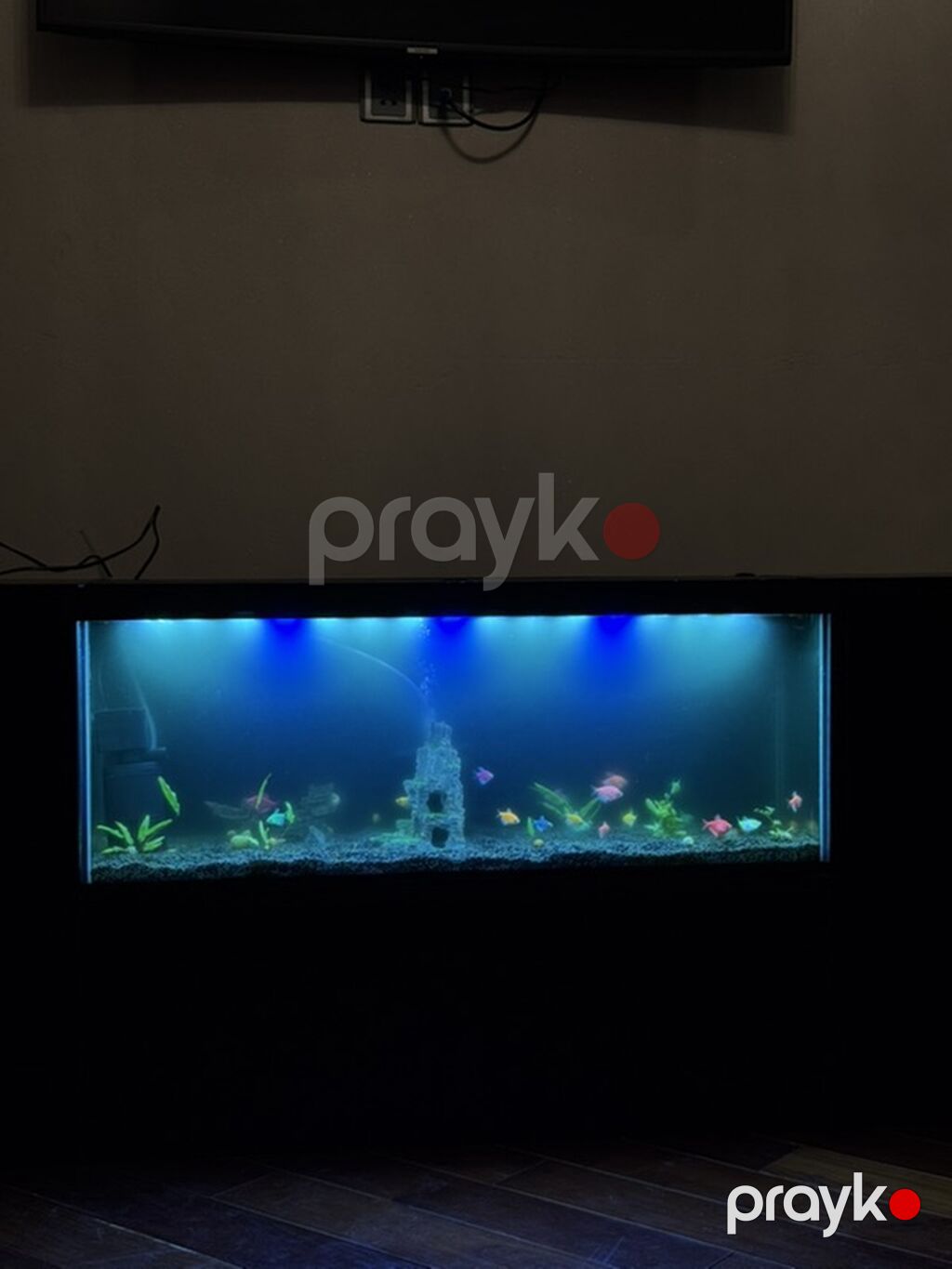 Akvaryum tv stend. – LED işıqlı, dekorativ daş və bitkilərlə — Akvariumlar və balıqlar, Bakı (4)