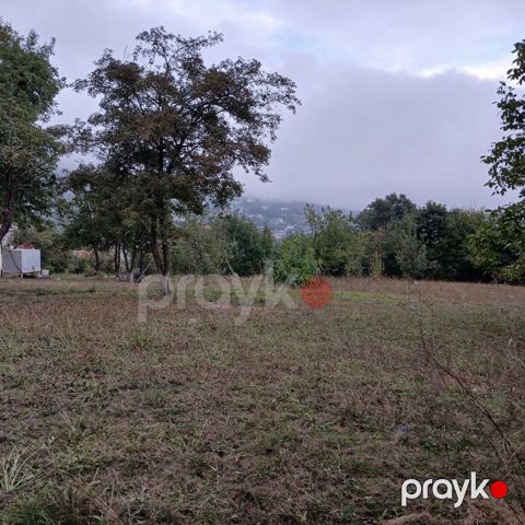 15 sot torpaq sahəsi, Lerik ş — Lerik