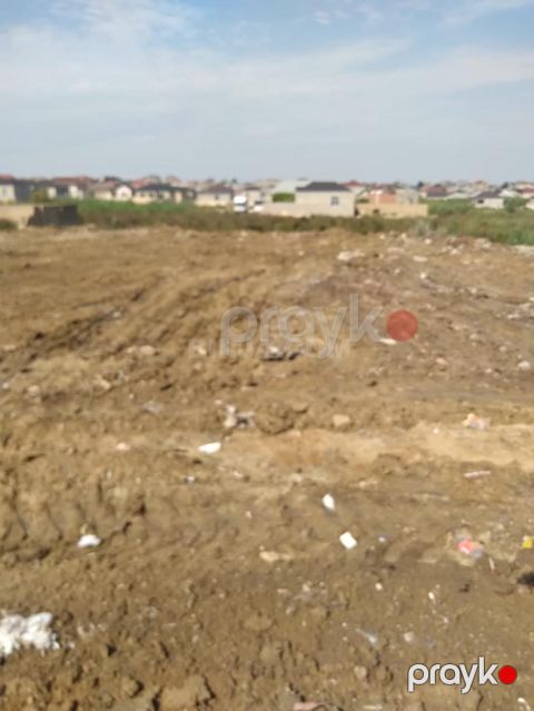 Satılır torpaq, Saray q