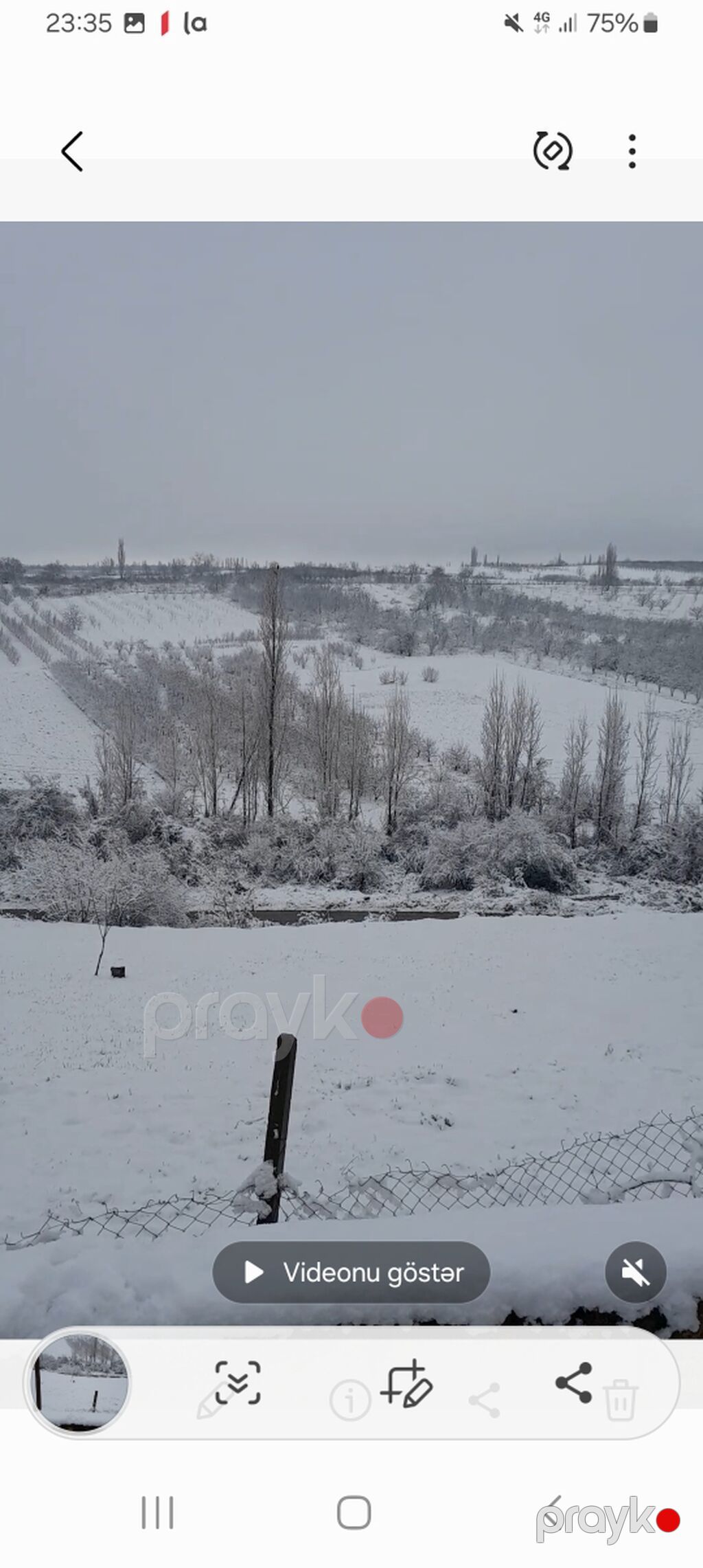 7 sot, Tikinti, Mülkiyyətçi, Kupça (Çıxarış) — Torpaq, Quba (6)