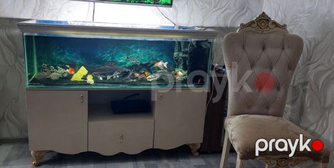 Dördbucaq akvarium, Boş, 350 l, Ünvandan götürmə — Ceyranbatan