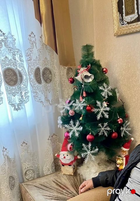 Yeni il ağacı — Bakı