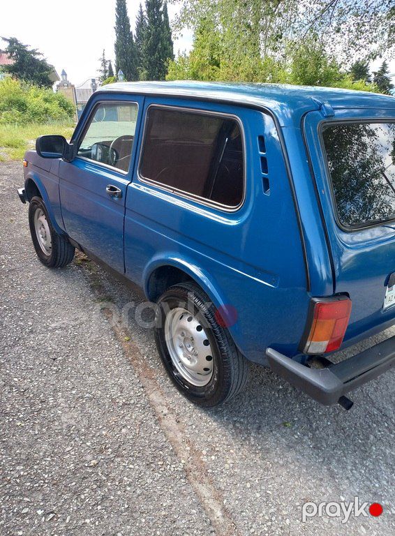Lada (VAZ) Niva, 1.7 L, 1999 il, 370 000 km — Avtomobillər, Şamaxı (5)