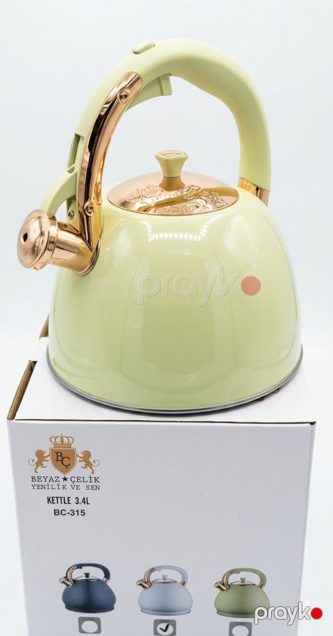 Çaydan Beyaz Çelik BC-315, paslanmayan polad, yaşıl, 3400 ml — Bakı