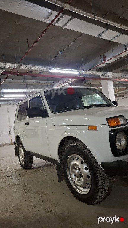 Lada (VAZ) Niva, 1.7 L, 2010 il, 238 000 km — Avtomobillər, Şuşa (6)