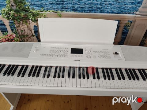 Yamaha DGH 670 — Bakı