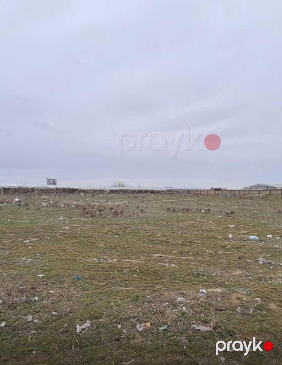 Satılır torpaq 16.5 sot — Torpaq, Bakı (4)