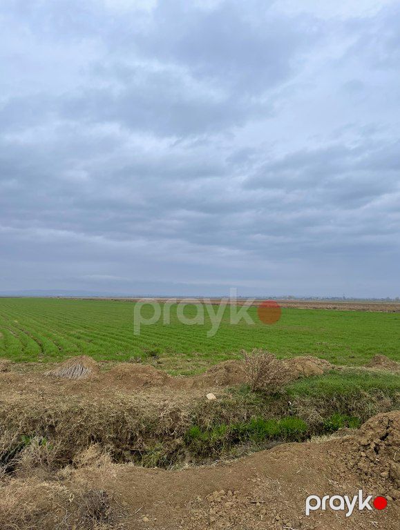 Satılır torpaq 16000 sot — Torpaq, Goranboy (5)