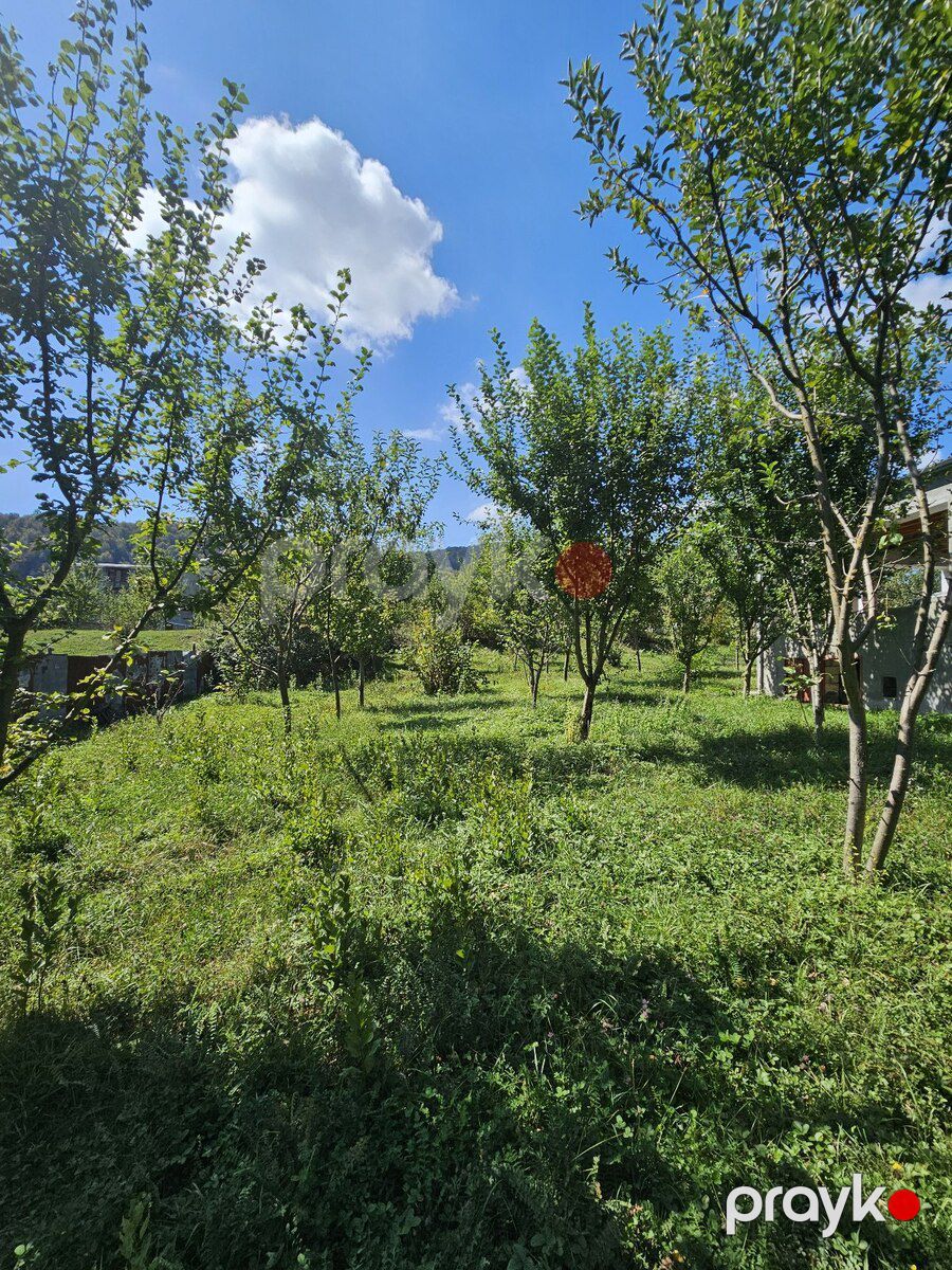 Həyət evi, İsmayıllı r — Ev, villa, İsmayıllı (6)