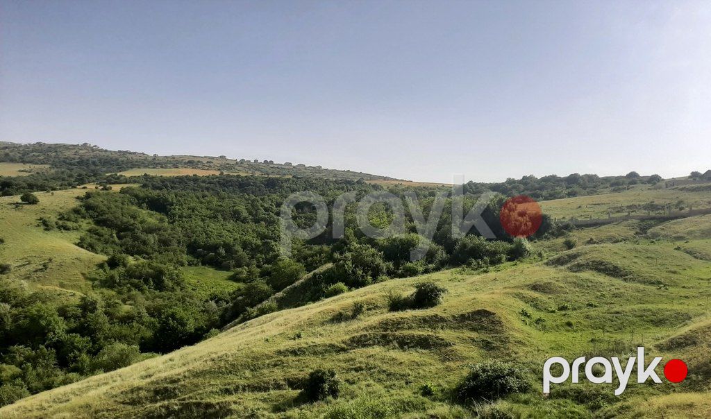 1100 sot torpaq sahəsi, Şamaxı ş — Torpaq, Şamaxı (2)