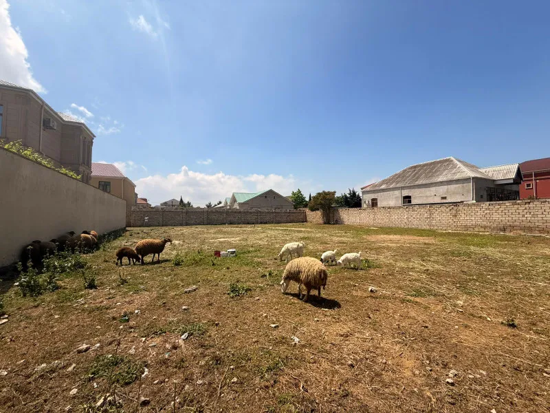 Buzovna, Torpaq satılır - 14 sot — Torpaq, Bakı (5)
