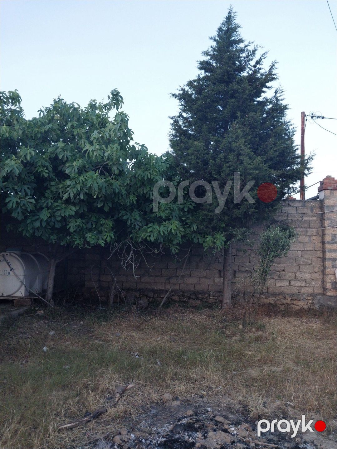 Satılır torpaq 9 sot — Torpaq, Bakı (3)