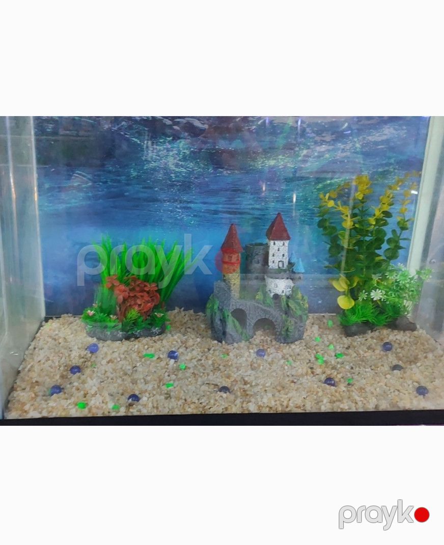 Akvarium üçün qrunt 5026473, 1 kq — Mallar, Bakı (2)