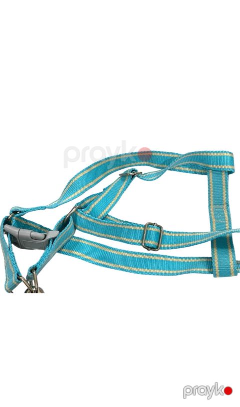Qayış itlər üçün 96073199, 2.4 m, açıq yaşıl — Bakı