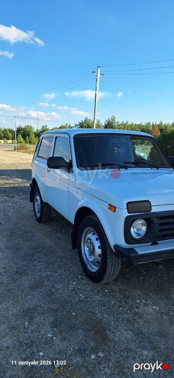 Lada (VAZ) Niva, 1.7 L, 2013 il, 130 000 km — Avtomobillər, Ağcabədi (5)