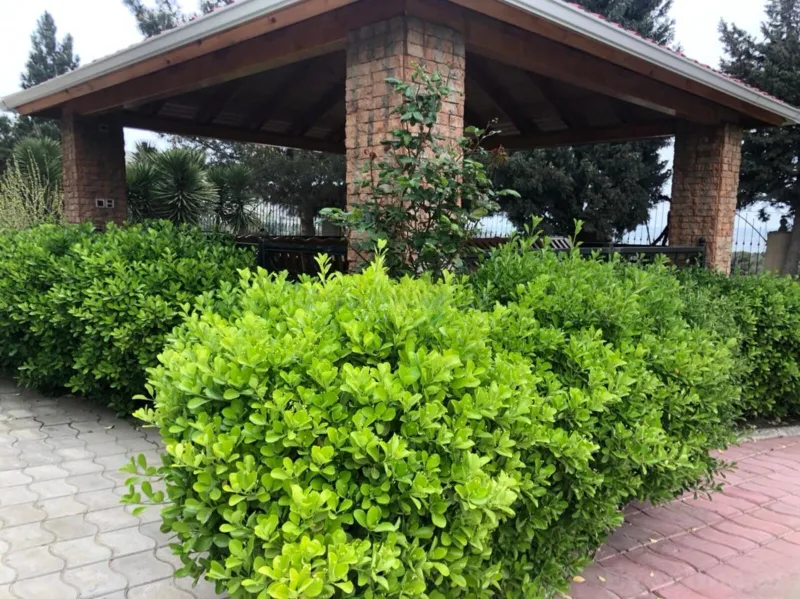 Satılır 7 otaqlı Həyət evi 600 m² Bakı, Səbail r., Şıxov — Ev, villa, Bakı (6)