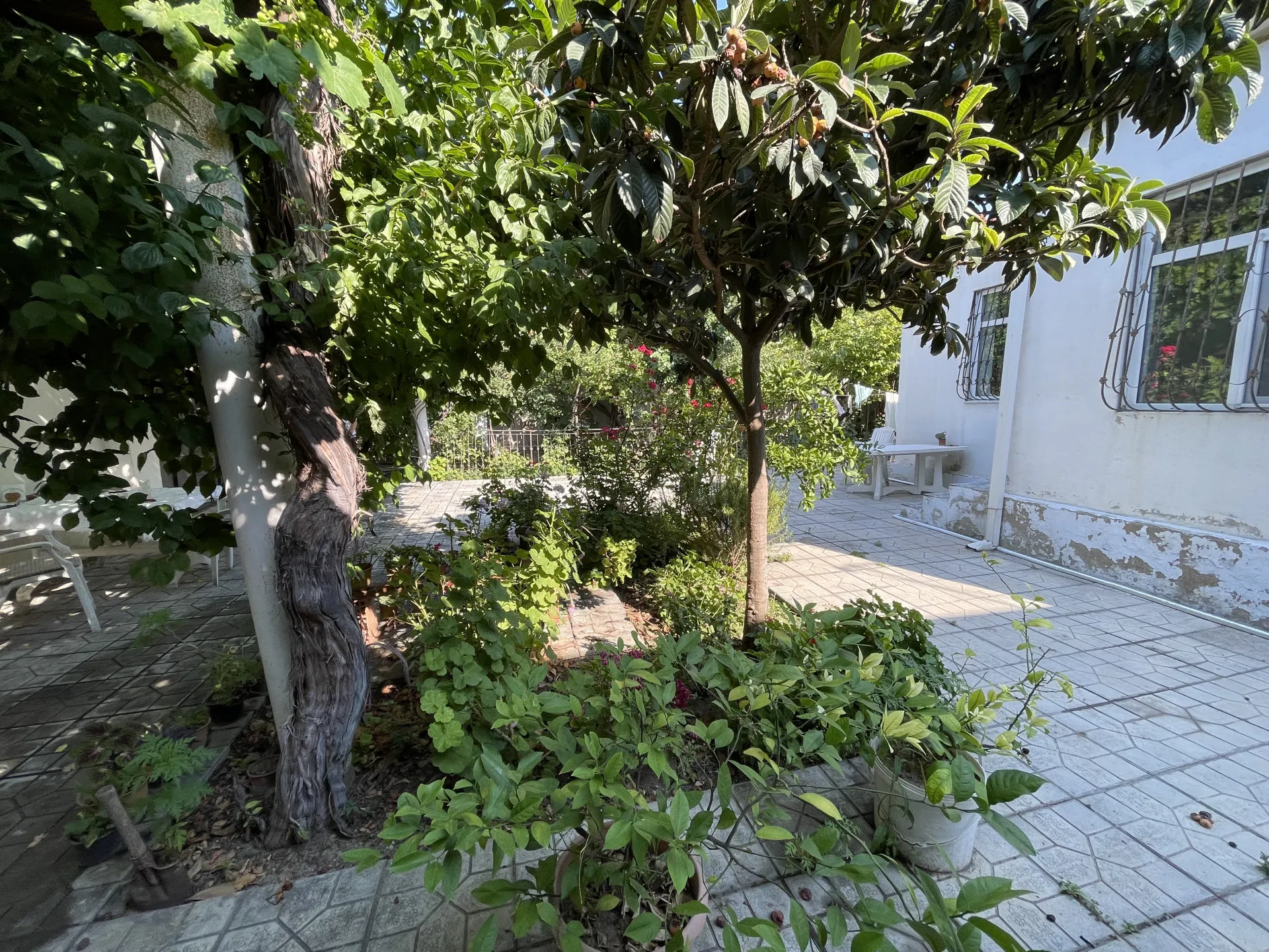 Azadlıq Prospekti m.st, Torpaq satılır - 5 sot — Torpaq, Bakı (7)