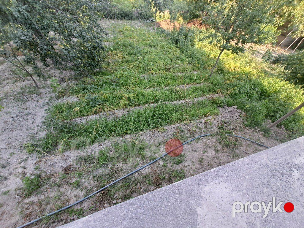 Həyət evi, Şəki ş — Ev, villa, Şəki (4)