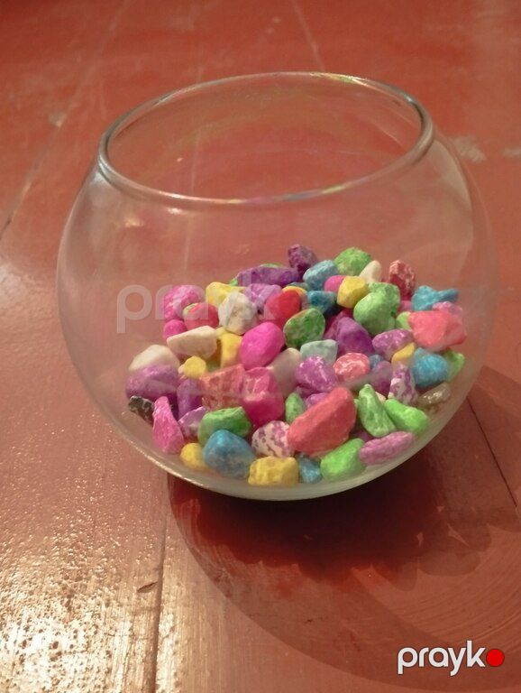 Akvarium — Akvariumlar və balıqlar, Bakı (2)