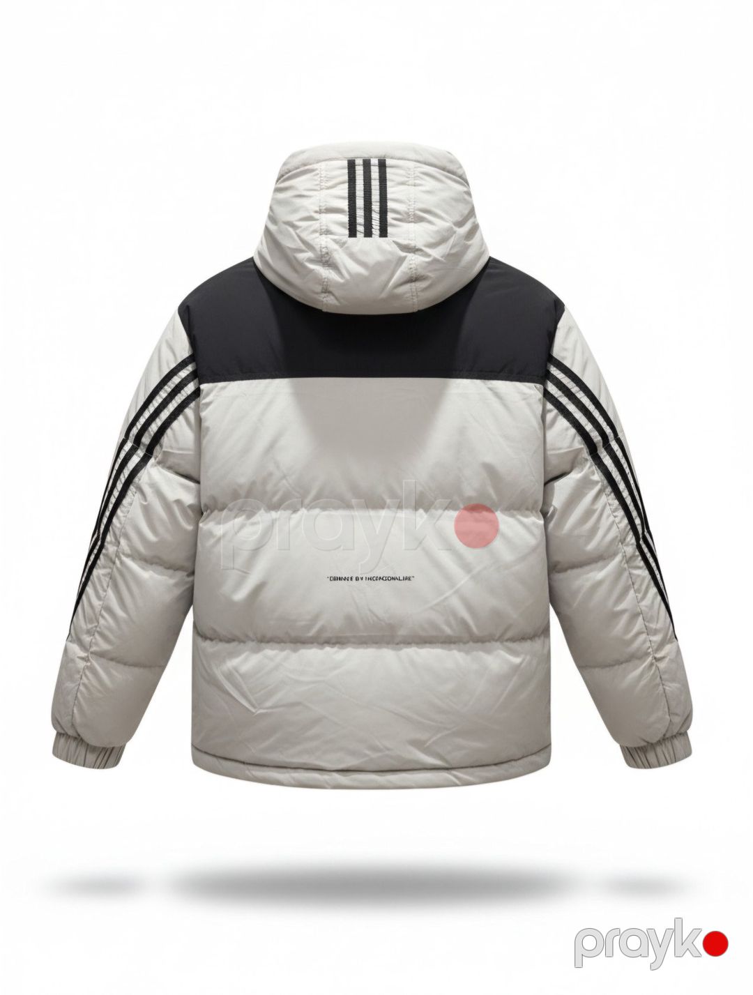 Kişilər üçün qış gödəkçəsi BB-05002, bej, pambıq/poliester, ölçü 3XL — Mallar, Bakı (2)