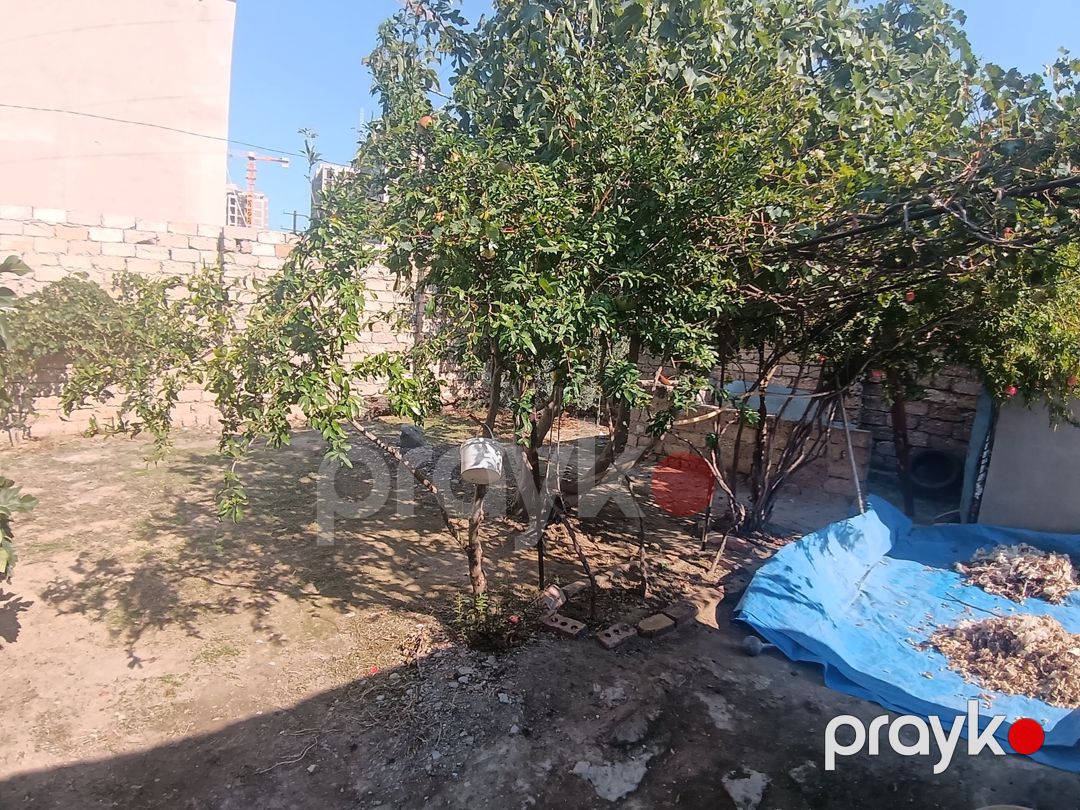 Satılır torpaq 4 sot — Torpaq, Bakı (4)