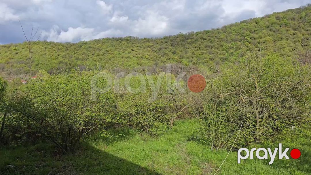 3.8 sot torpaq sahəsi, Zaqatala r — Torpaq, Zaqatala (2)