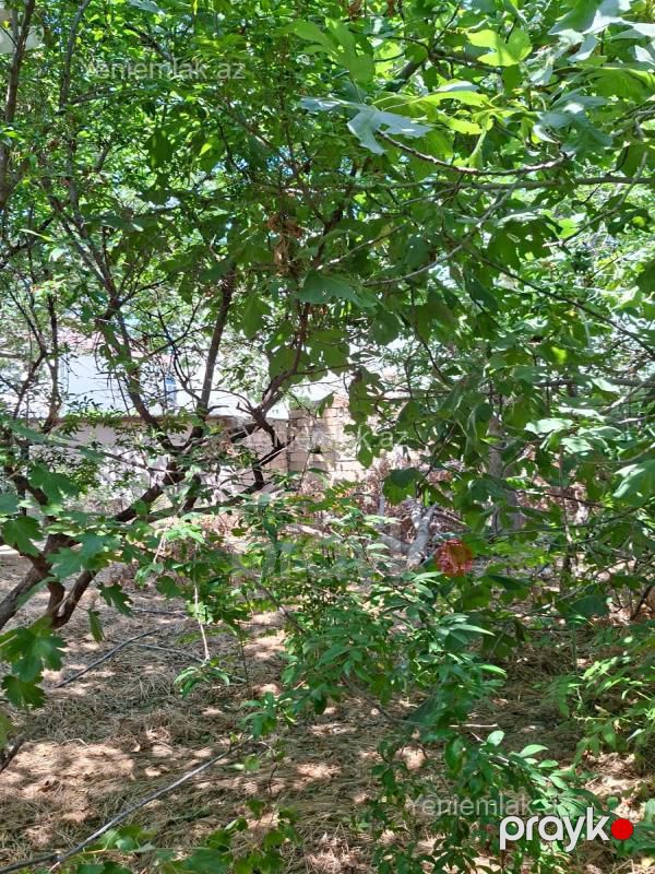 Satılır Torpaq sahəsi, 8 sot, Corat köhnə — Torpaq, Sumqayıt (8)