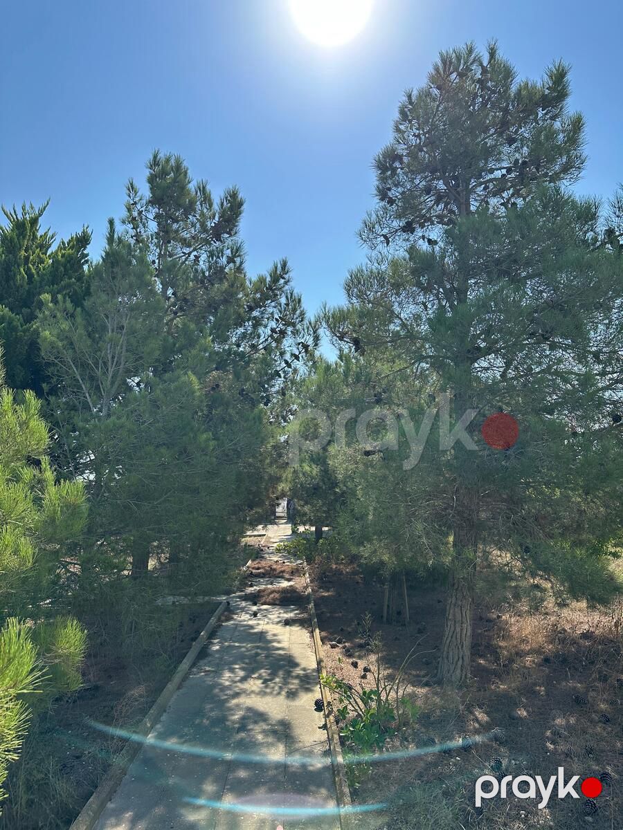Satılır 3 otaqlı həyət evi/bağ evi 90 m² — Ev, villa, Bakı (12)